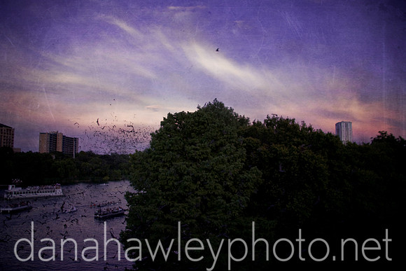 austin, texas.
