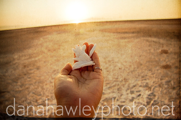 the great salt lake.