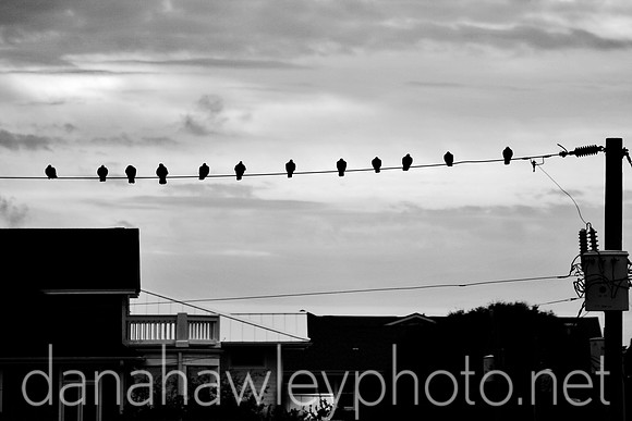 wrightsville beach, nc.