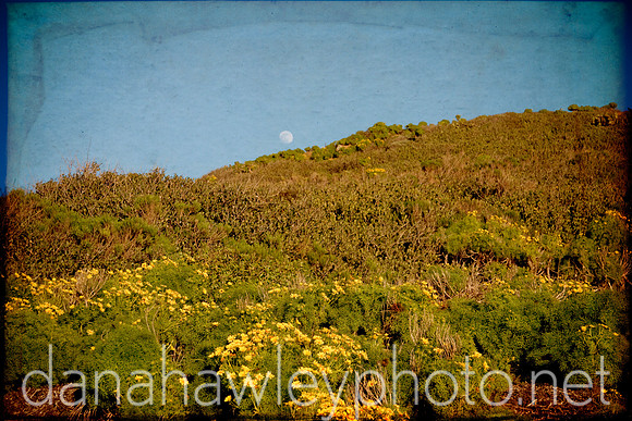 point dume, malibu, ca.