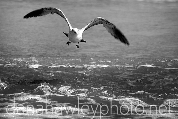wrightsville beach, nc.